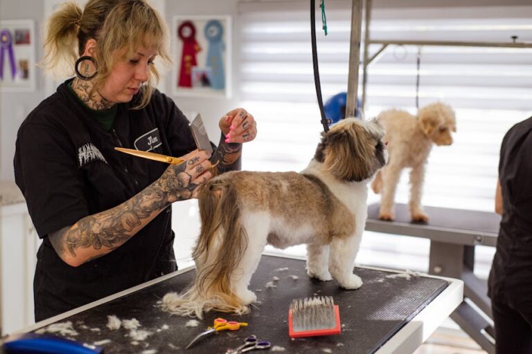5 Professional Dog Grooming Techniques That Transform Stress Into Success