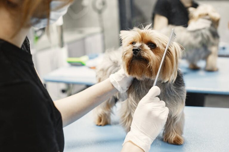 Dog Grooming Guide: From Professional Tipping to Stopping Excessive Barking