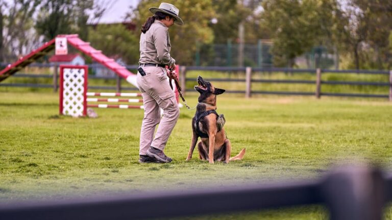 7 Dog Training Tips for Beginners That Stop Bad Behavior Fast