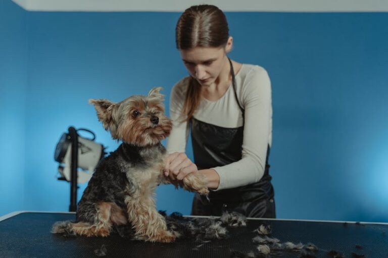 How Much to Tip Dog Groomers: 2026 Guide to Getting It Right