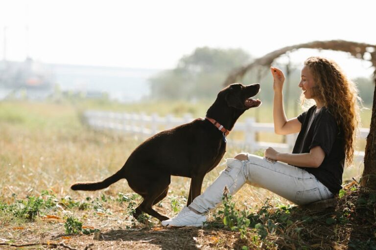 How to Take Care of a Dog: Your Complete Beginner’s Guide for 2026