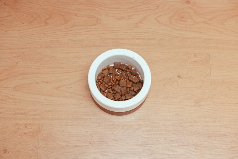 The Expert-Backed Guide to Choosing the Best Dry Puppy Food in 2026