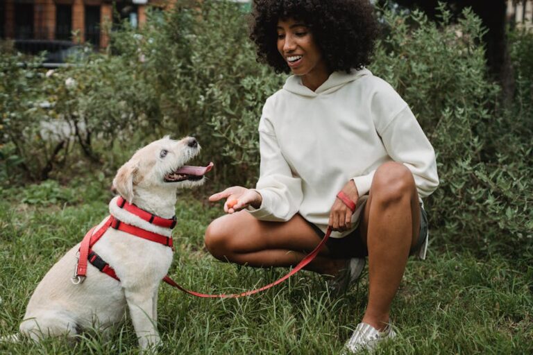 The New Dog Parent’s Complete Guide: From Daily Care to Basic Commands