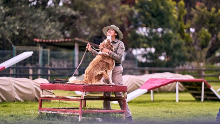 What Is the 3-3-3 Rule for Dogs? Plus Secret Rules That Transform Training