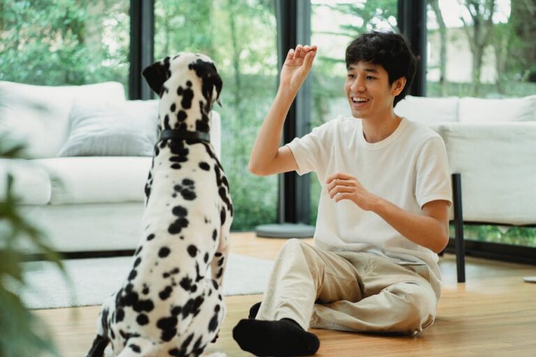 Stop Dog Barking Apps That Actually Work (Plus Training Tips That Don’t)