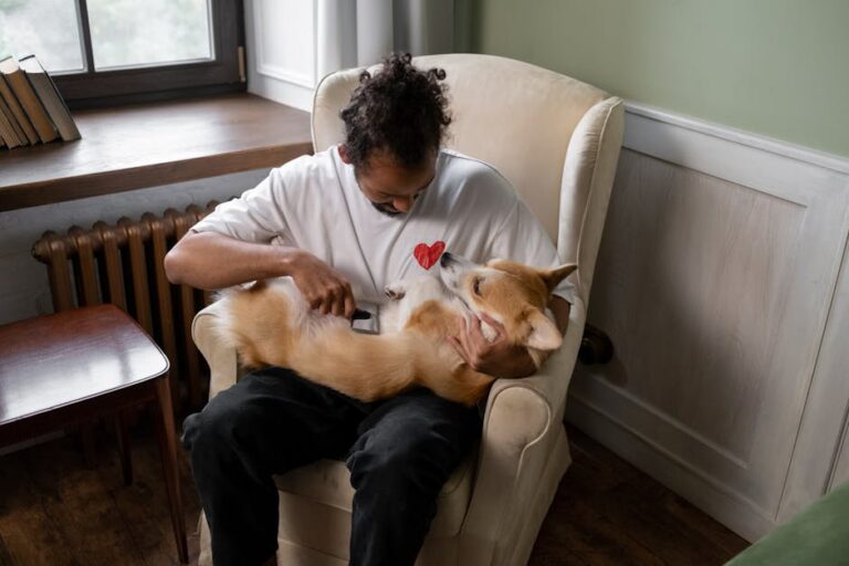 Transform Grooming From Chore to Bonding Time: Essential Tips Every Dog Owner Needs