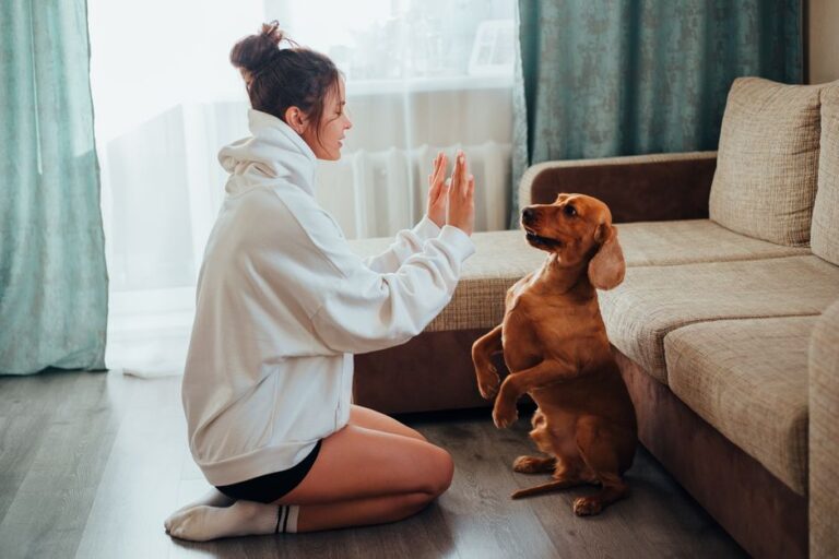 Dog Obedience Training at Home: A Step-by-Step Plan That Actually Sticks