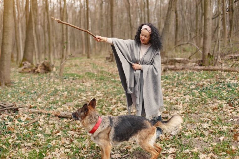 How Do I Improve My Dog’s Obedience? A Vet-Backed Guide That Actually Works