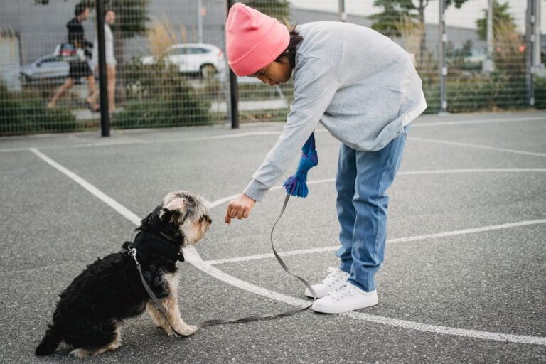How to Train Your Dog to Behave: A Rescue Owner’s Guide to Calm, Trusting Companions