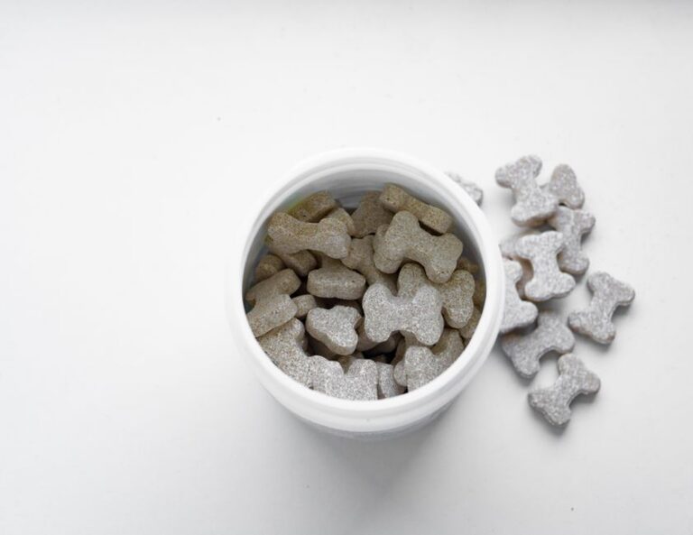 Nutrition Gel for Dogs: When Your Pup Needs Extra Nutritional Support