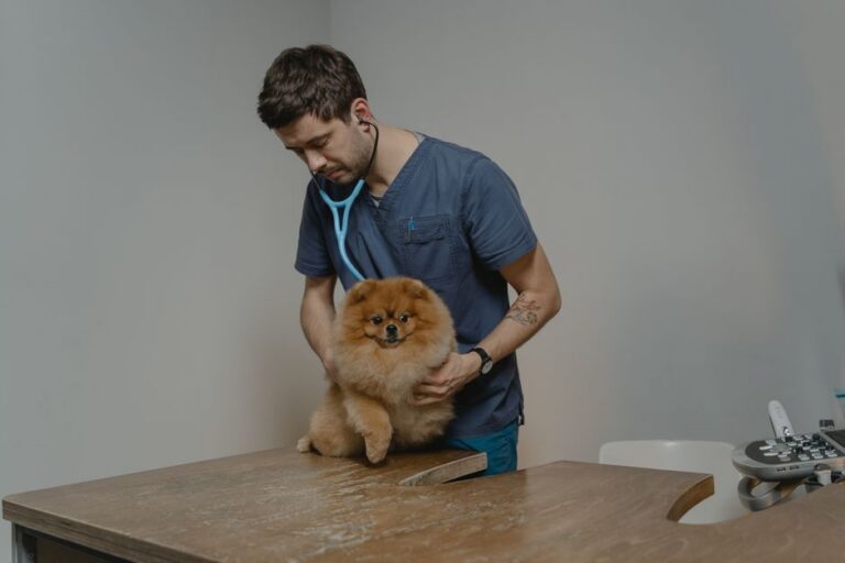 Dog Medical Advice on Reddit: Great Community, Terrible Diagnosis Tool