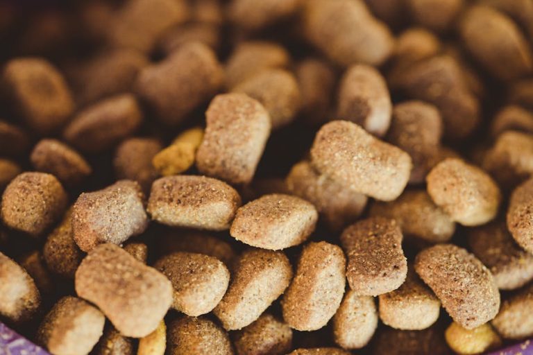 Best Puppy Food Reviews 2026: Expert Analysis by Breed Size & Growth