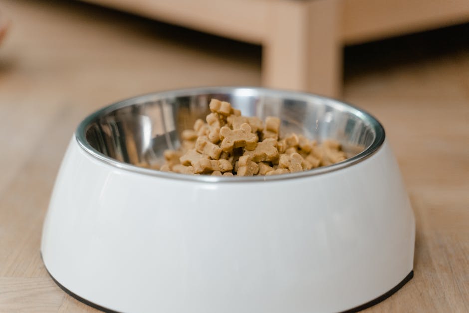Complete Guide to Dog Nutrition: Recipes, Calculators & Special Diets