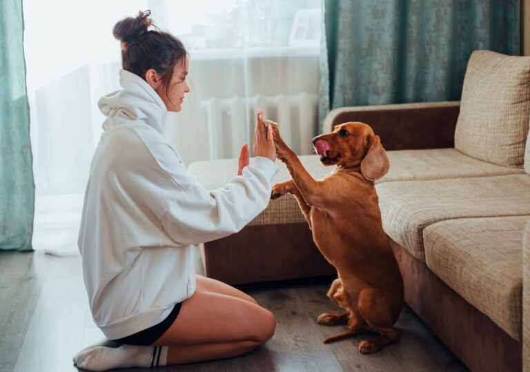 Dog Obedience Training at Home: Skip the Pro Fees and Still Get Results