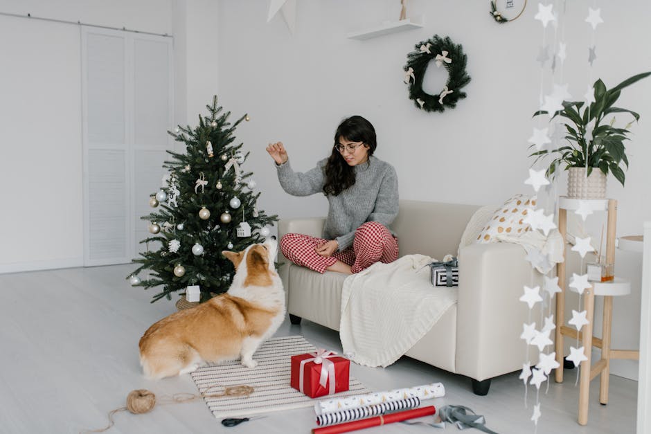 Dog Sitting Basics: Essential Skills Every Pet Sitter Needs in 2025