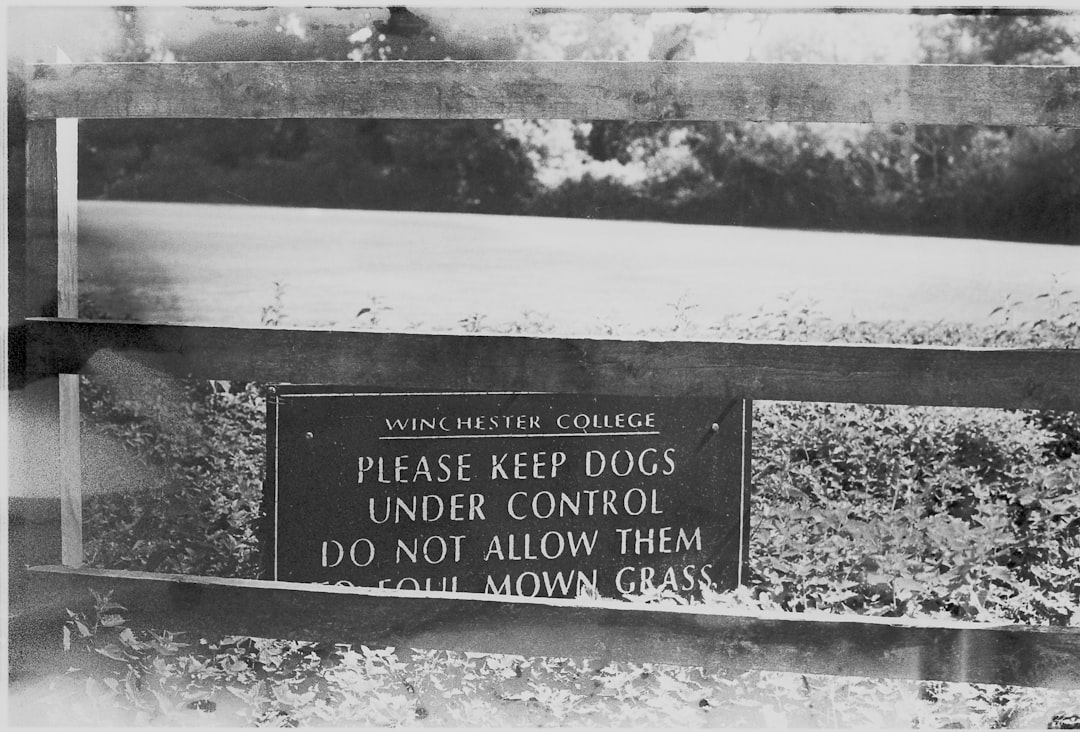 Essential Dog Health Advice Every Owner Needs to Recognize Warning Signs