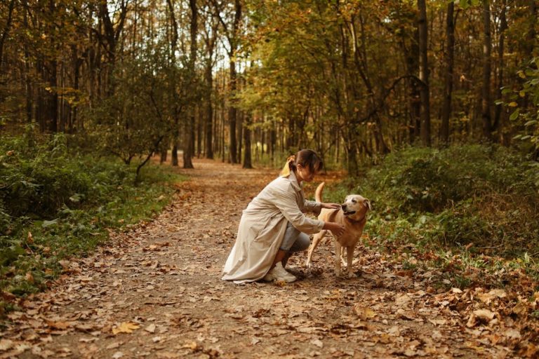 Free Dog Health Advice: Your Complete Step-by-Step Care Guide