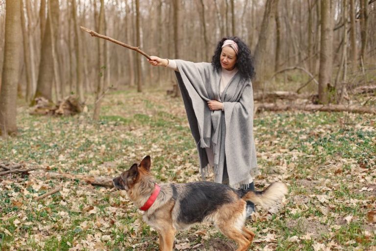 How Do I Improve My Dog’s Obedience? A Vet-Backed Guide That Actually Works