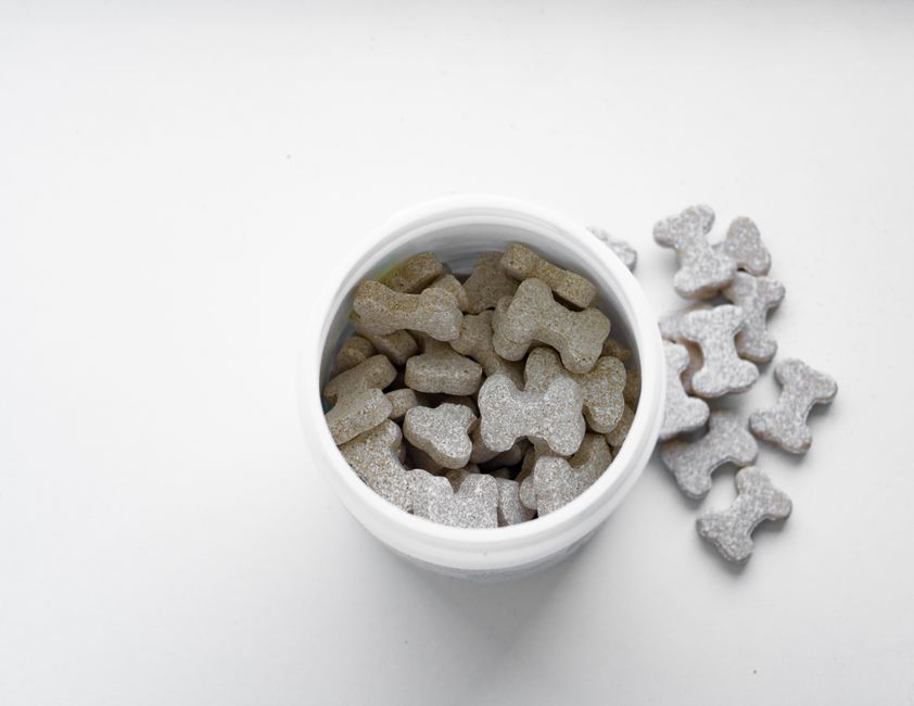 Nutrition Gel for Dogs: When Your Pup Needs Extra Nutritional Support