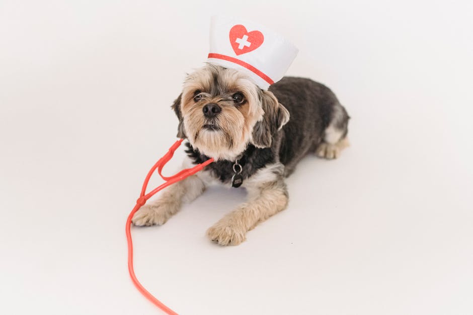 Science-Backed Dog Health Tips: The 90-10 & 7-Second Rules That Transform Care