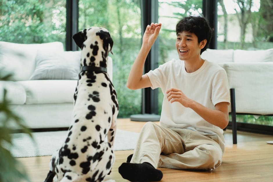 Stop Dog Barking Apps That Actually Work (Plus Training Tips That Don’t)