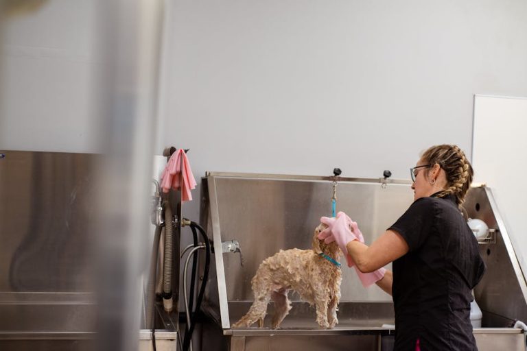 Stop Dog Barking in the Groom Room: 5 Instant Home Remedies That Work