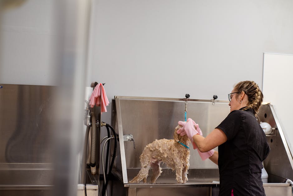 Stop Dog Barking in the Groom Room: 5 Instant Home Remedies That Work