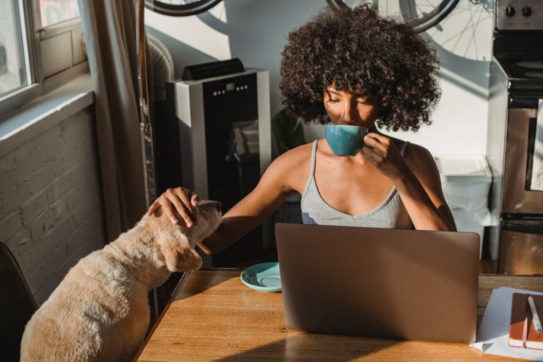 The Complete Dog Care Basics Book: From Overwhelmed to Confident Owner