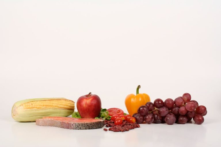 The Complete Guide to Nutrition for Dogs with Kidney Disease in 2026