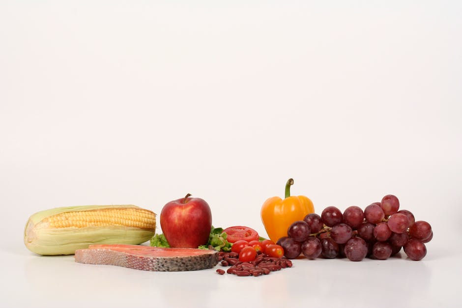 The Complete Guide to Nutrition for Dogs with Kidney Disease in 2026