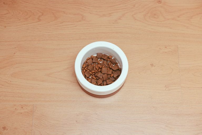 The Expert-Backed Guide to Choosing the Best Dry Puppy Food in 2026