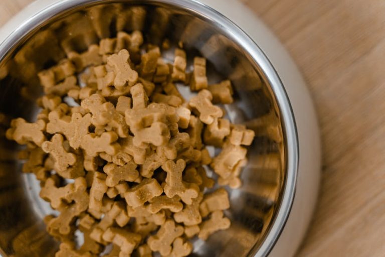 The Hidden Dangers of Wrong Puppy Food for Small Breeds (Plus 6 Top Picks)
