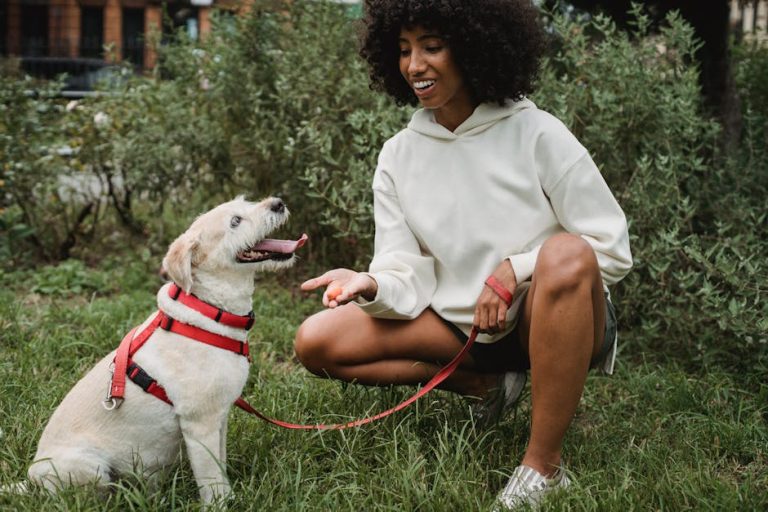 The New Dog Parent’s Complete Guide: From Daily Care to Basic Commands