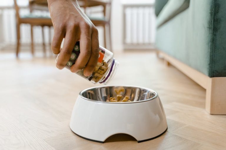 The Science-Backed Guide to Dog Nutrition That Vets Actually Recommend