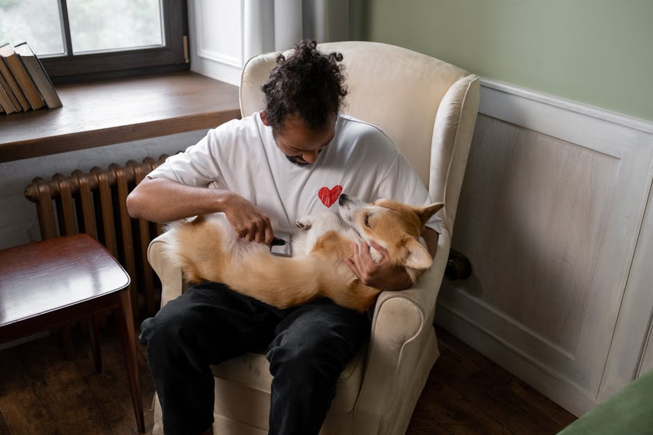 Transform Grooming From Chore to Bonding Time: Essential Tips Every Dog Owner Needs