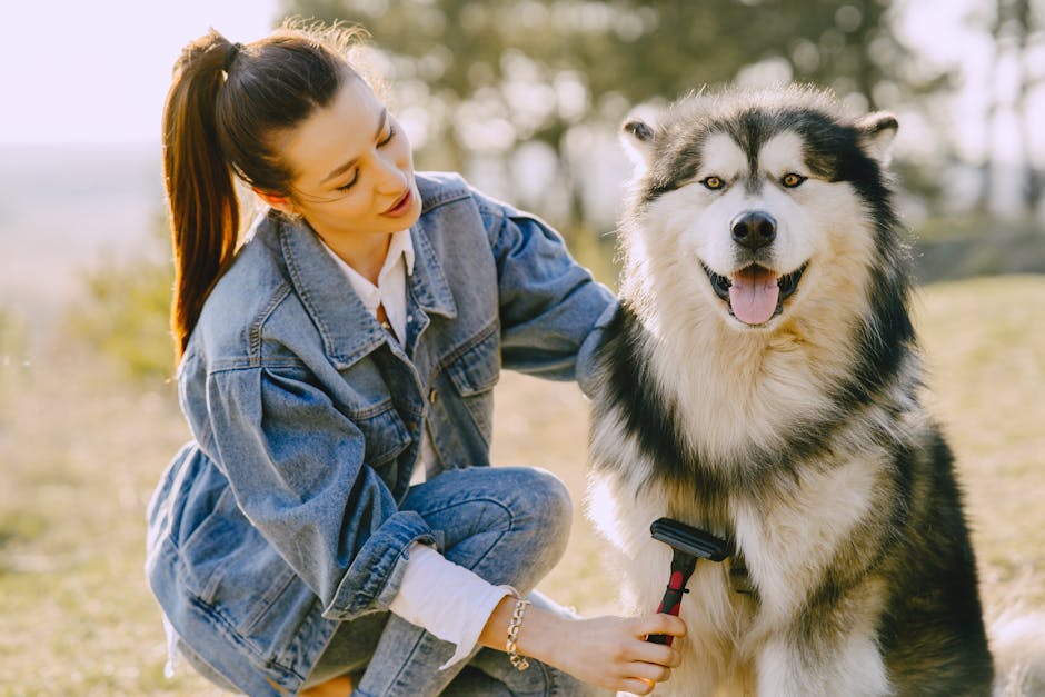 Transform Grooming From Stressful Ordeal to Bonding Time With the Right Kit