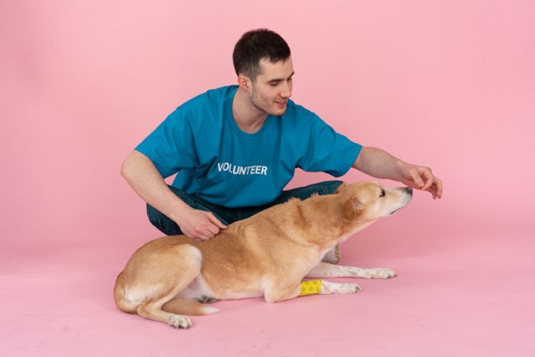 What Makes Puppy Food ‘Vet Recommended’ (And Which Brands Actually Earn It)